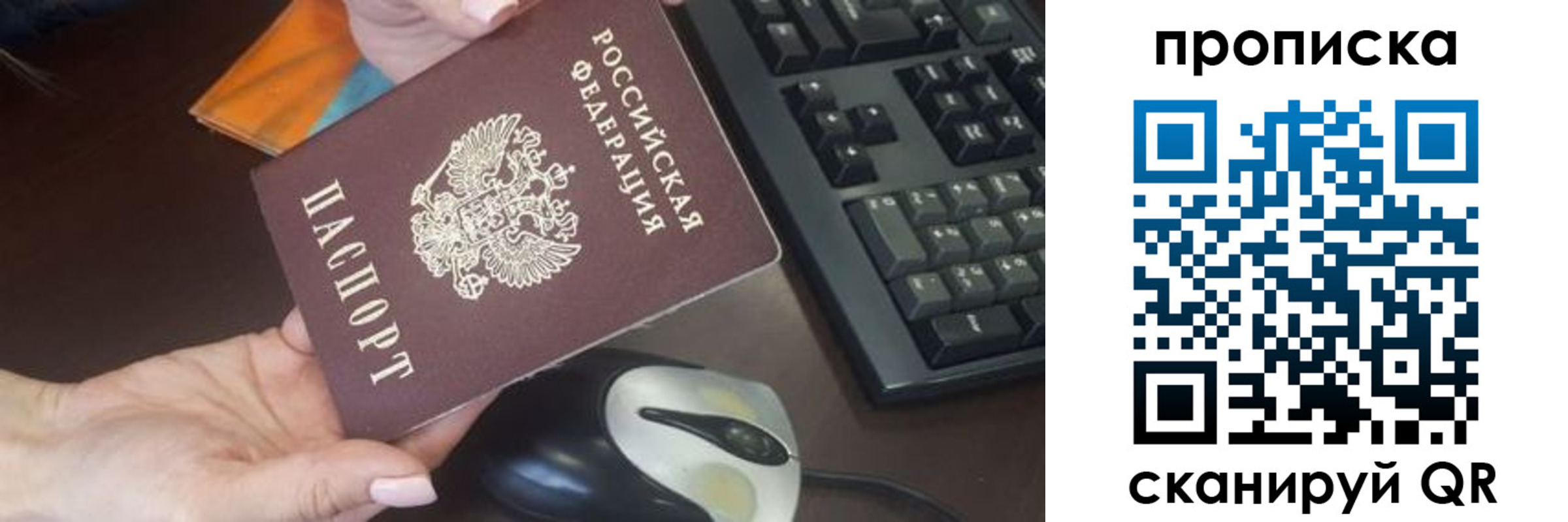 прописка гарантия в Краснокаменске